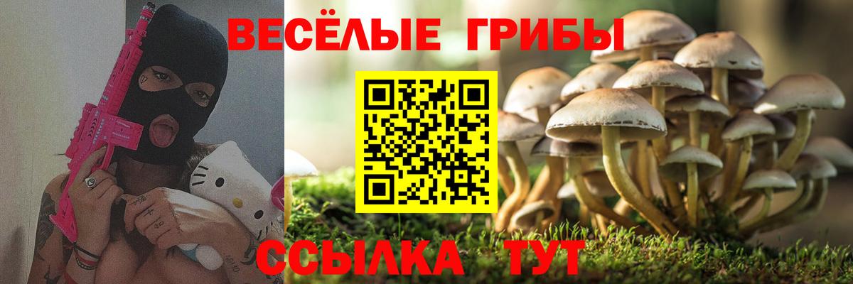 Бузулук  Псилоцибиновые грибы мицелий  Вход с VPN 